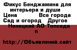 Фикус Бенджамина для интерьера и души › Цена ­ 2 900 - Все города Сад и огород » Другое   . Ненецкий АО,Топседа п.